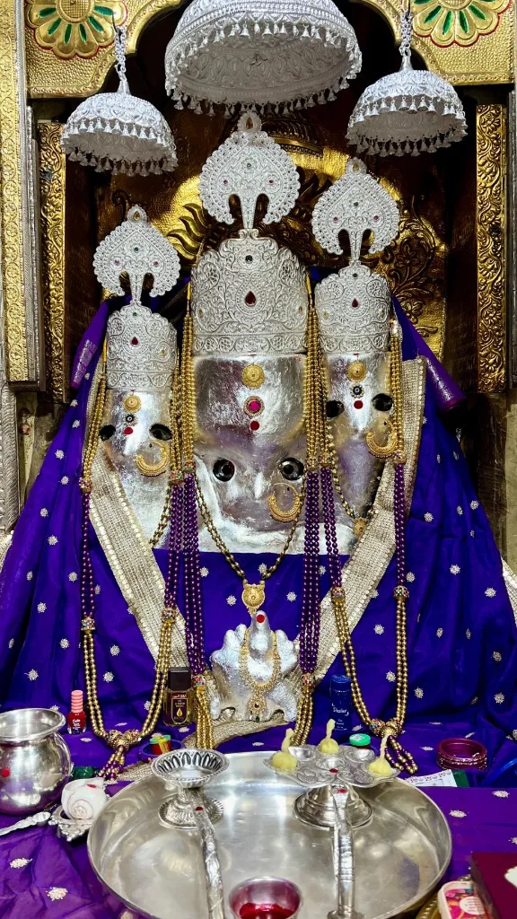 पावन गर्भगृह एवं शिखर दर्शन